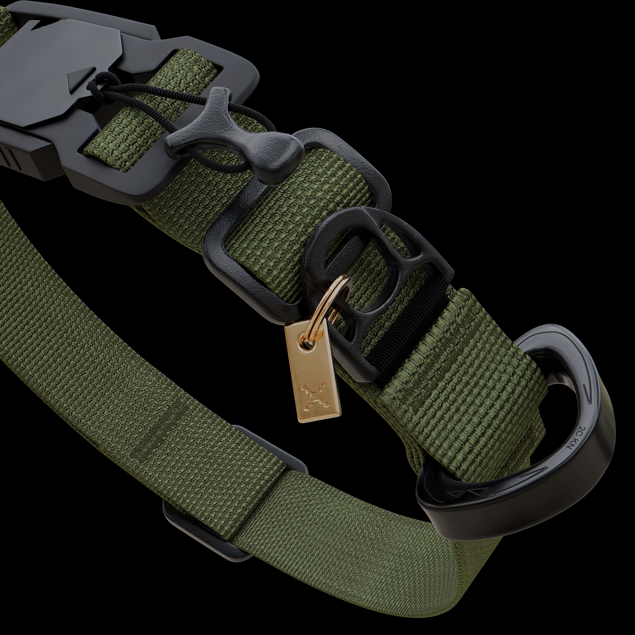 dog Armis Collar - Moss - ExBESTIA - Collar