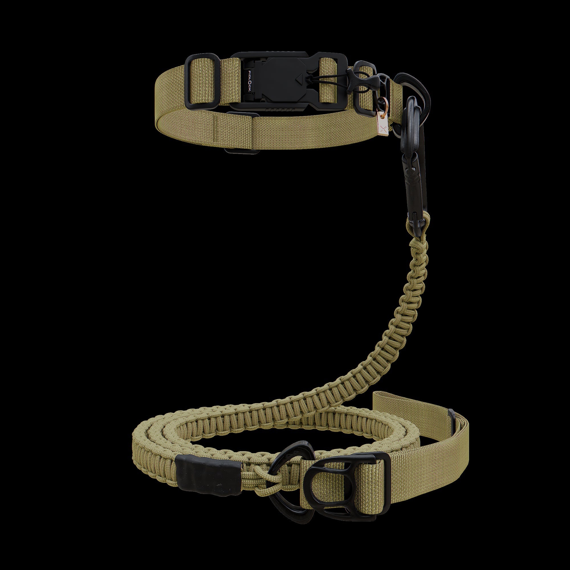 dog Collar & Leash Package - Dust - ExBESTIA - Package