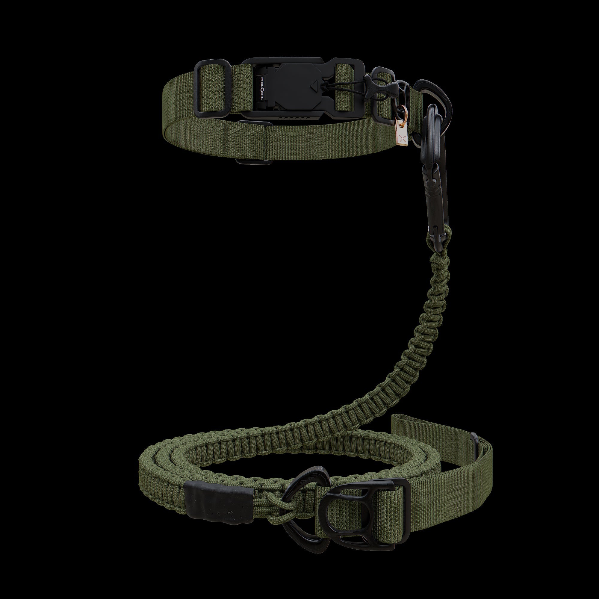 dog Collar & Leash Package - Moss - ExBESTIA - Package