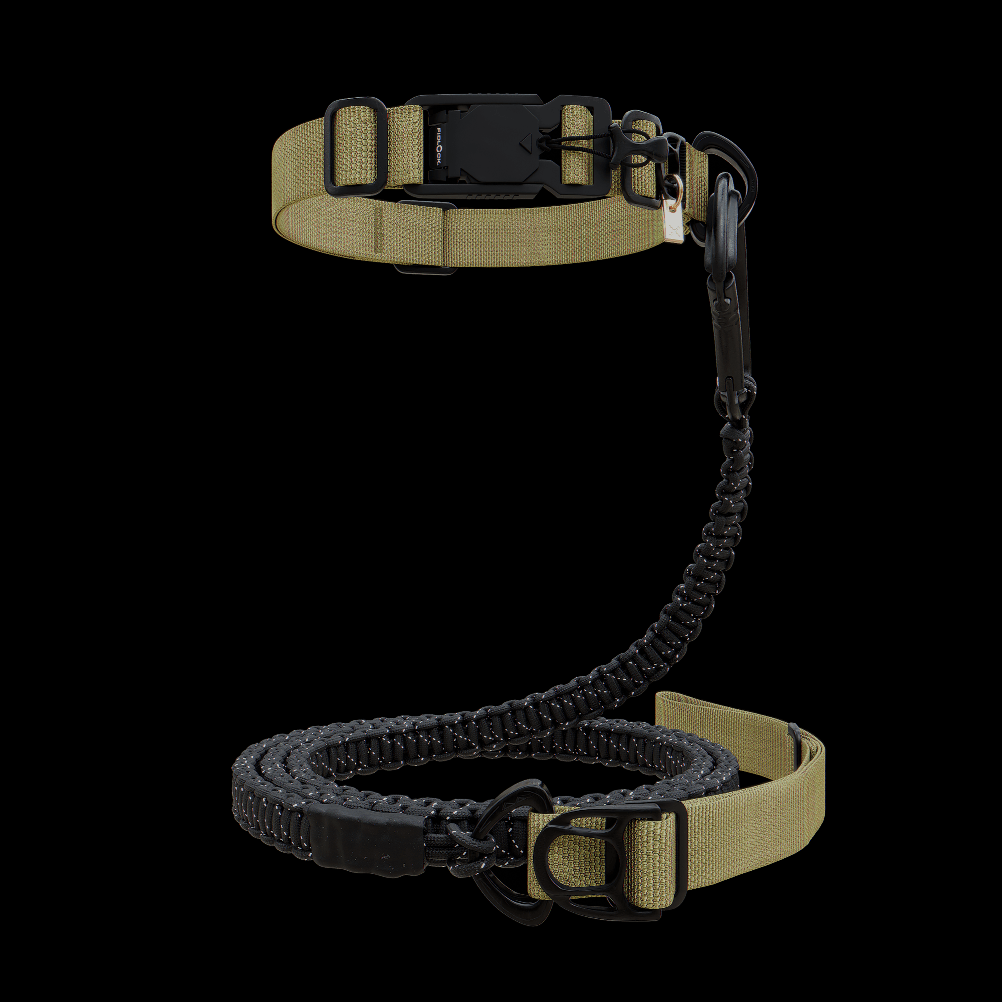 dog Collar & Leash Package - Oils & Dust - ExBESTIA - Package