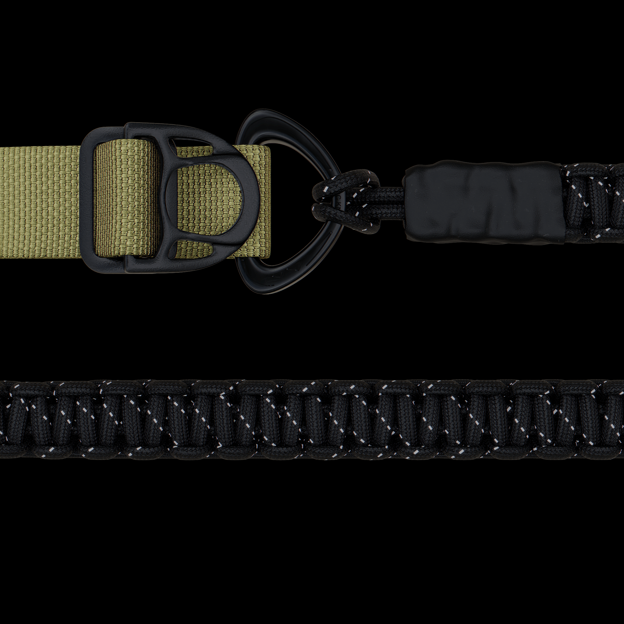 dog Collar & Leash Package - Oils & Dust - ExBESTIA - Package