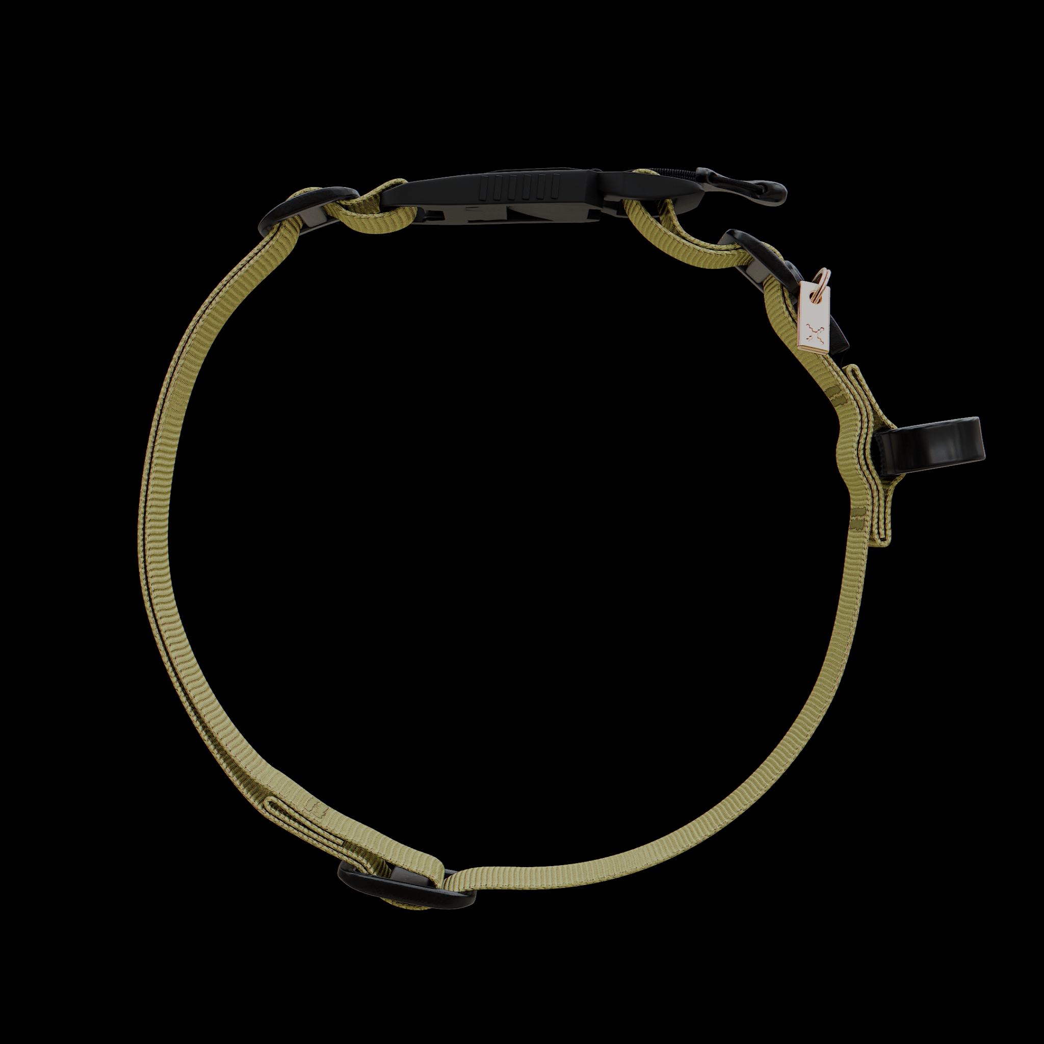 dog Collar & Leash Package - Oils & Dust - ExBESTIA - Package