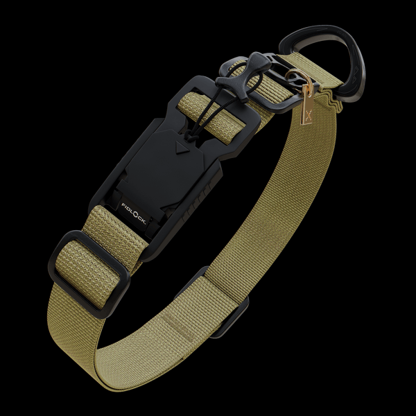altissimo collar Armis Dog Collar
