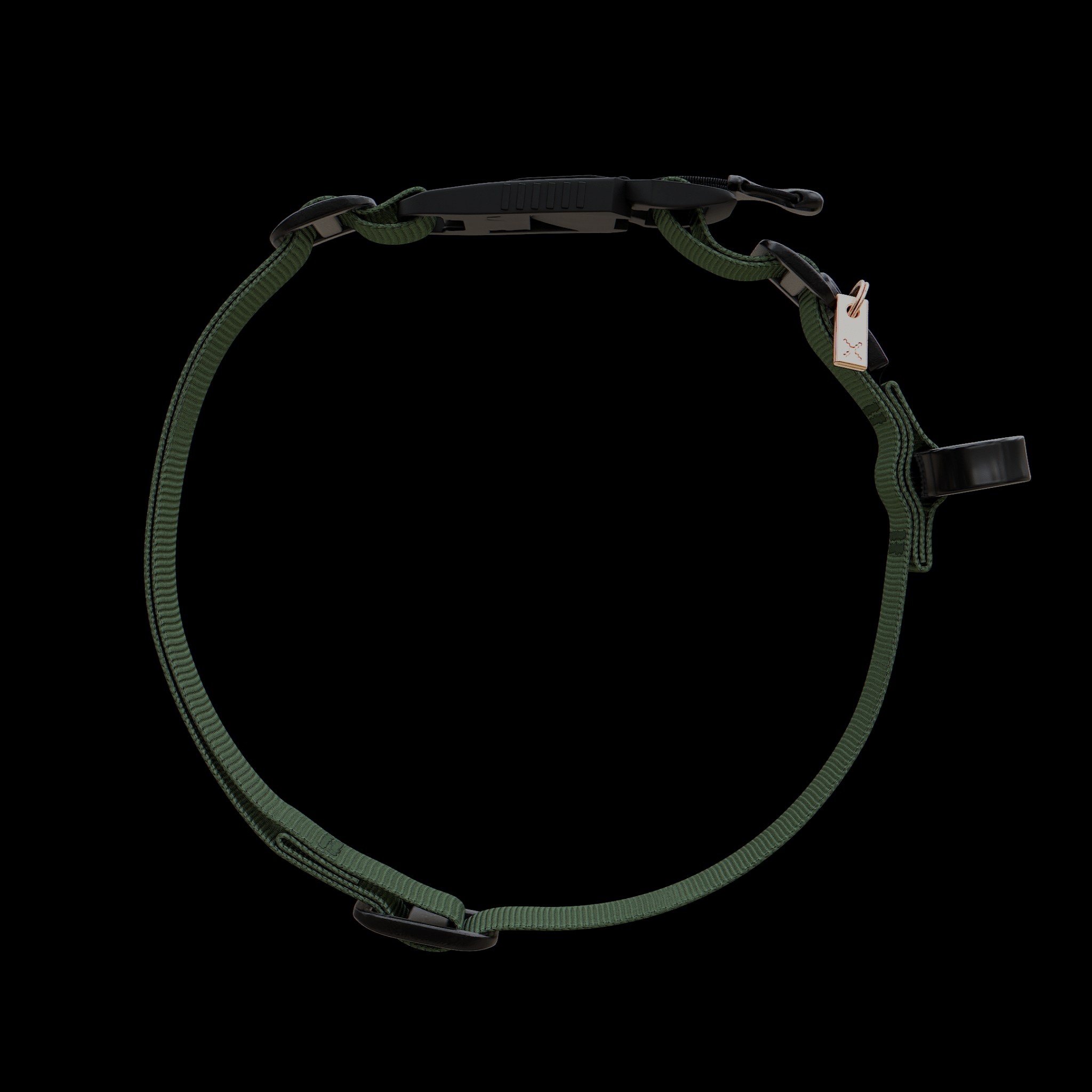 dog Collar & Leash Package - Oils & Leaf - ExBESTIA - Package