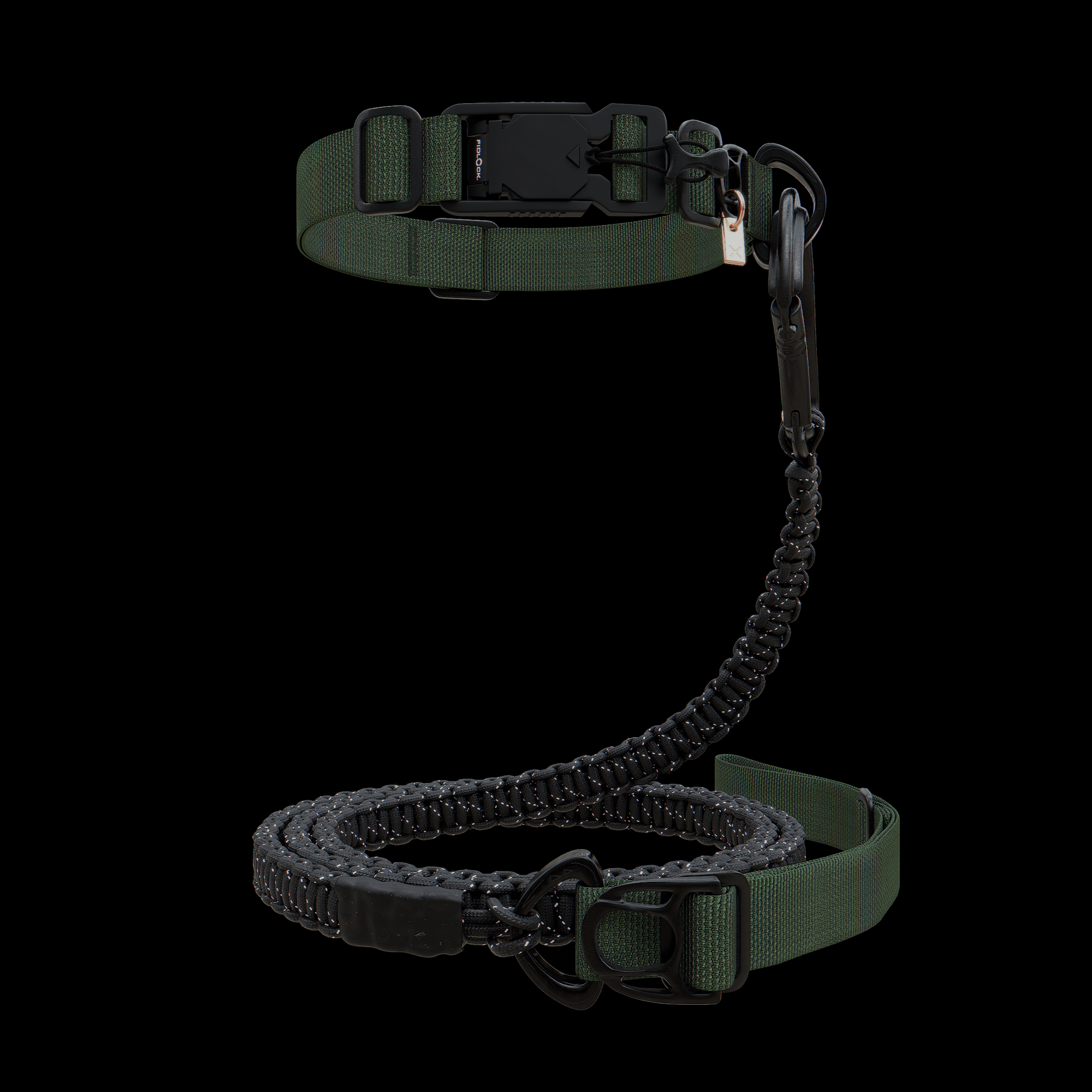 dog Collar & Leash Package - Oils & Leaf - ExBESTIA - Package
