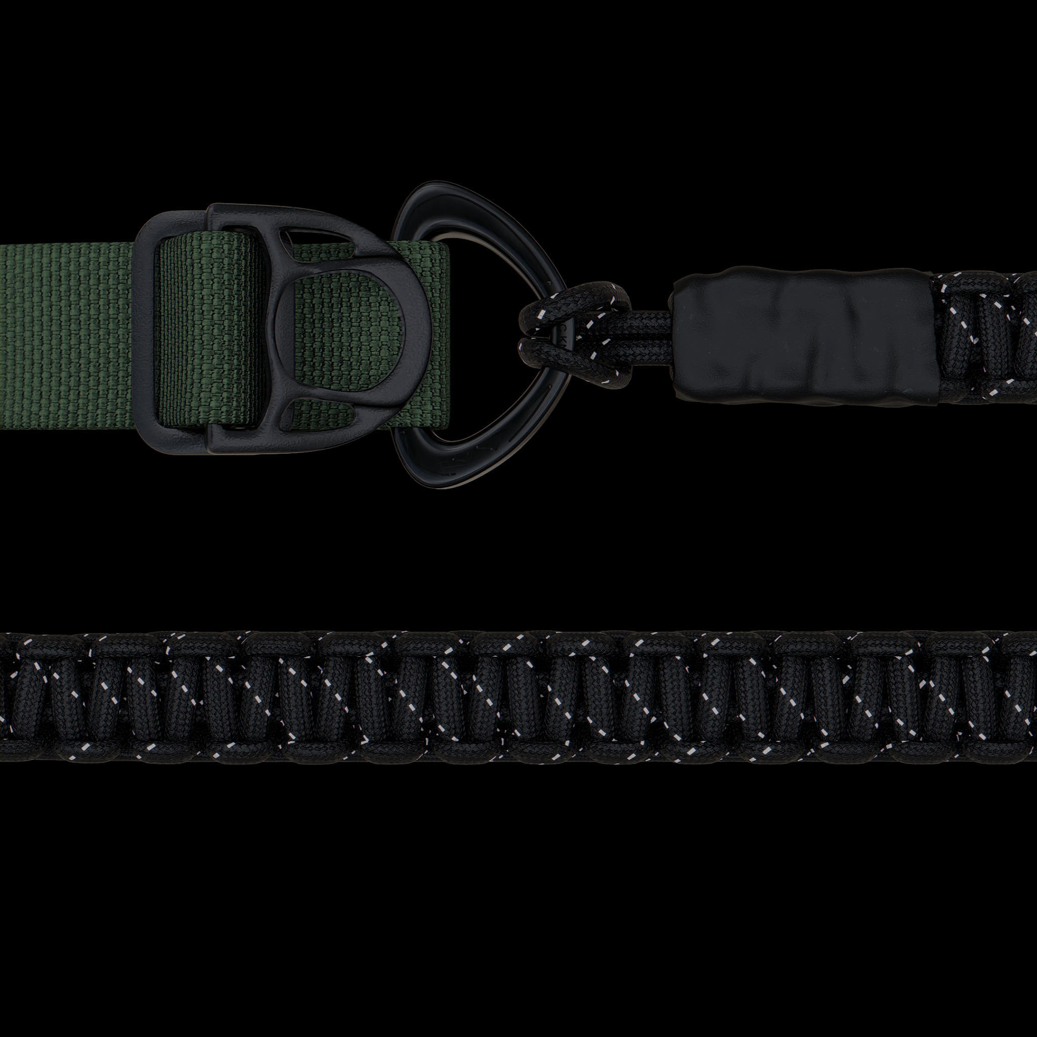 dog Collar & Leash Package - Oils & Leaf - ExBESTIA - Package