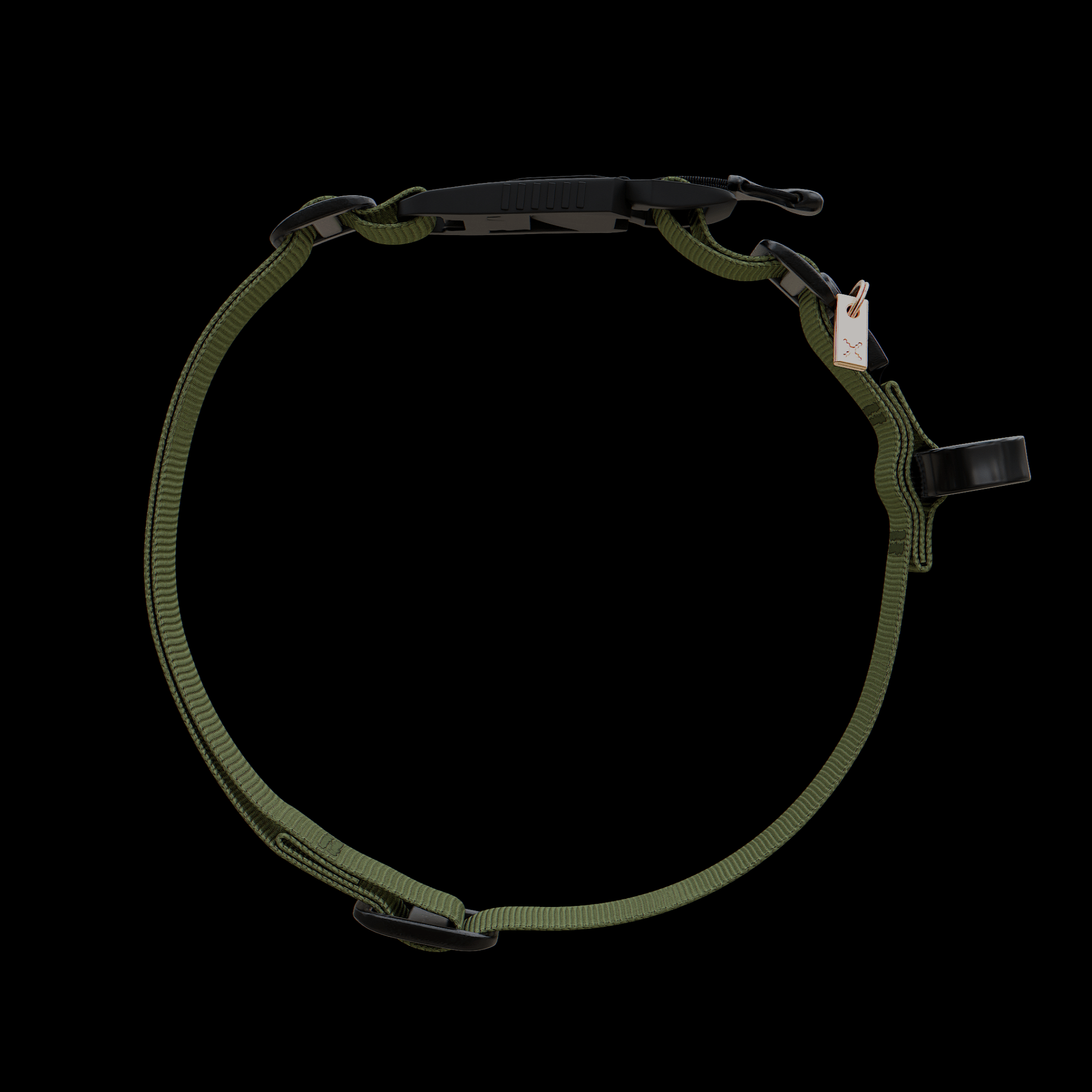 dog Collar & Leash Package - Oils & Moss - ExBESTIA - Package