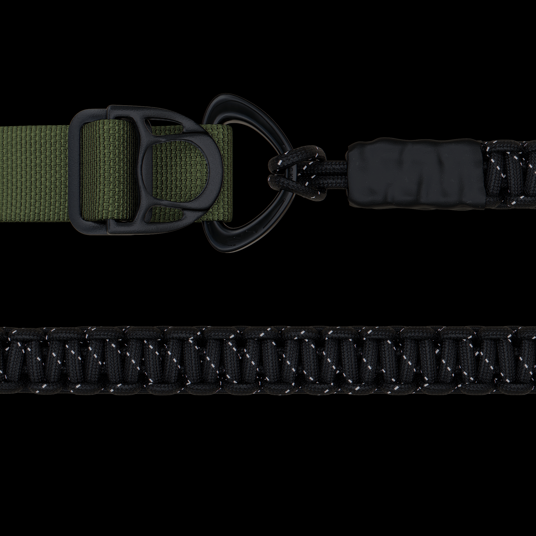 dog Collar & Leash Package - Oils & Moss - ExBESTIA - Package