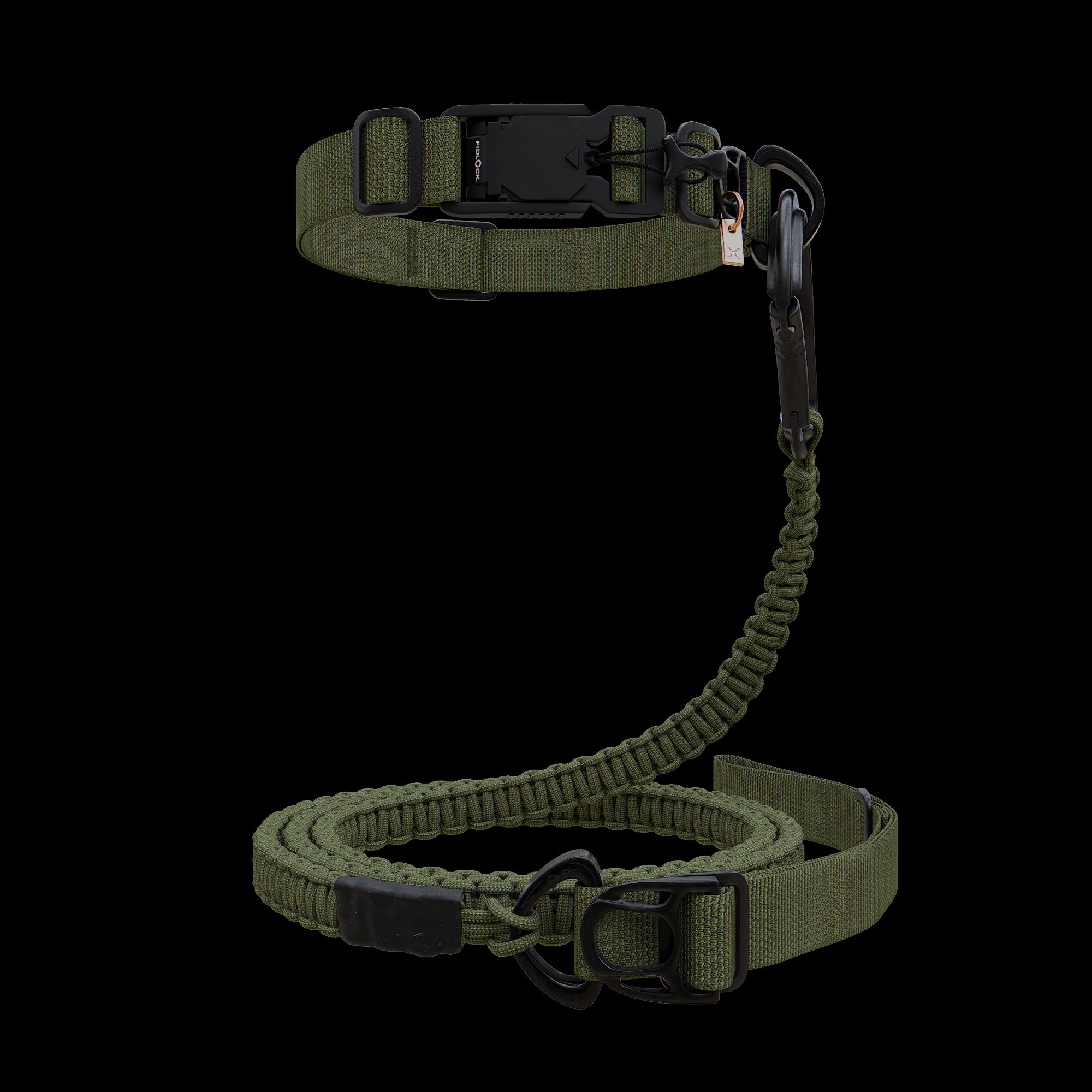 Collar & Leash Package - Moss